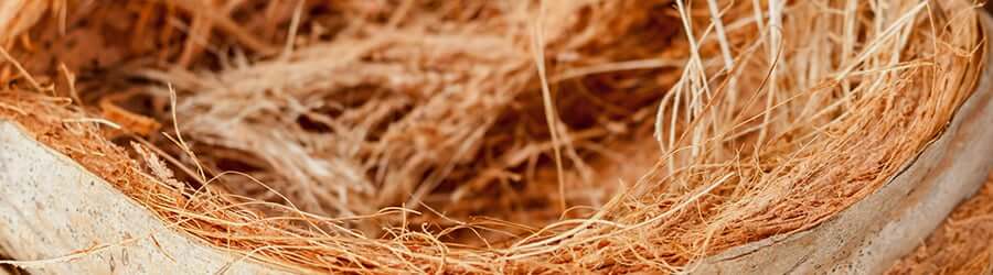 fibre de coco hydroponics