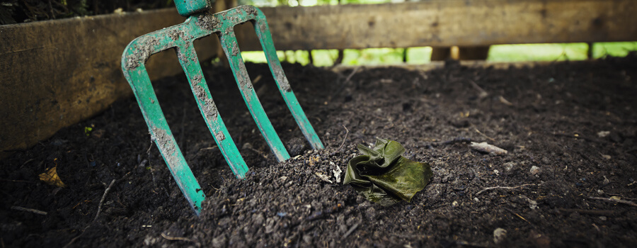 Seaweed As A Fertilizer Of Soil For Organic Cultivation Seaweed As A Fertilizer Of Soil For Organic Cultivation