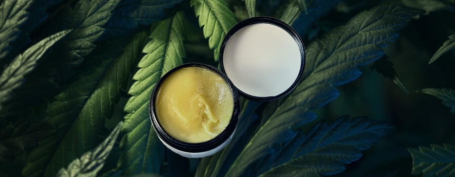 Lotion Cannabis Lotion Cannabis