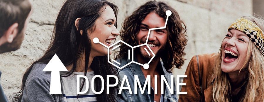 Dopamine Sérotonine Cannabis Dopamine Sérotonine Cannabis