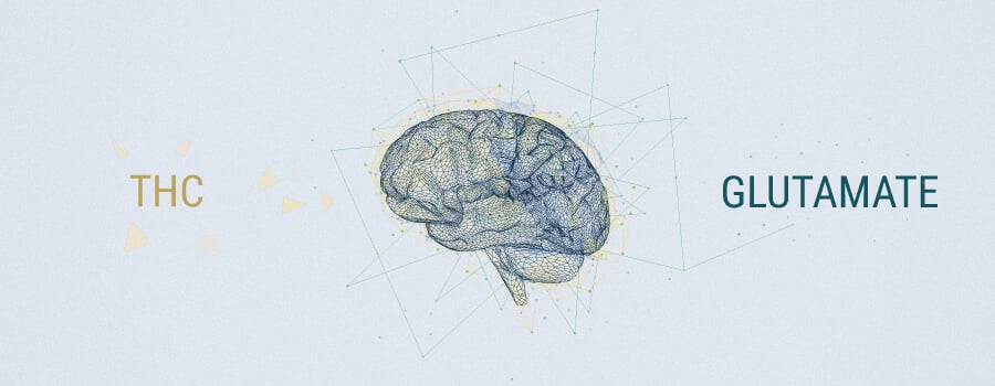 Neurotransmetteurs Et Cannabis
