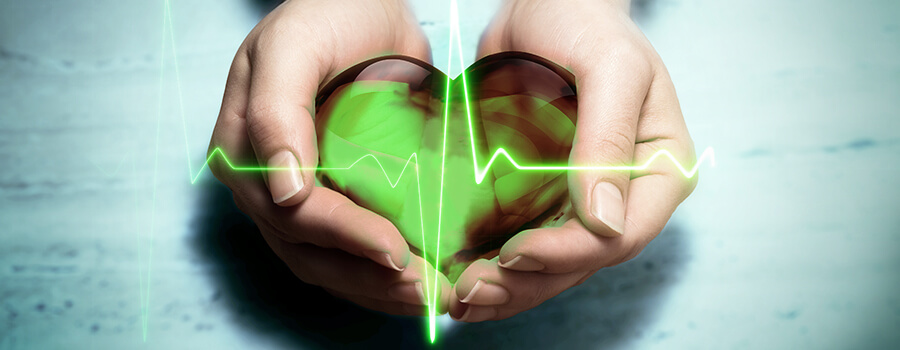Coeur Hypertension Cannabis Coeur Hypertension Cannabis