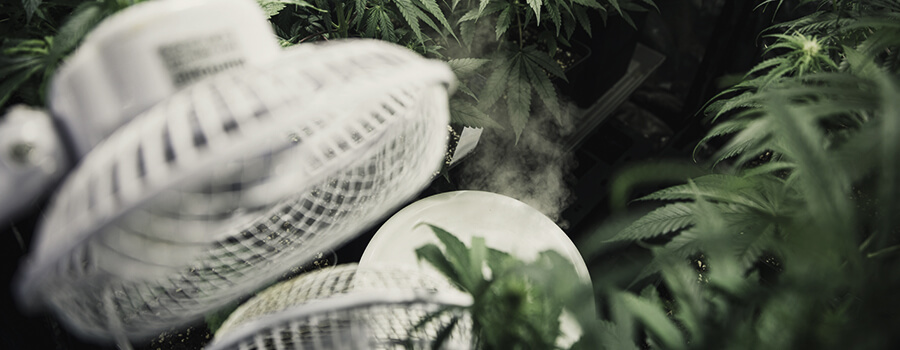 Humidité Et Température Humidité Et Température