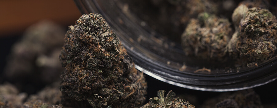Pot De Cannabis Pour Le Stocker