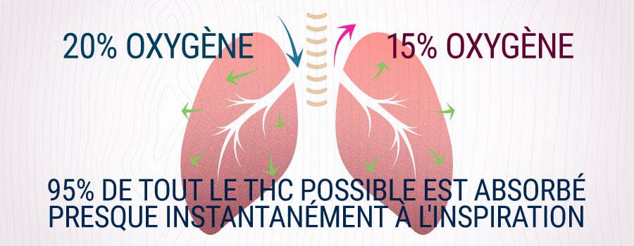 Poumons Inhaling Fumée De Cannabis Explication