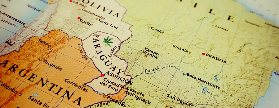 Paraguay Amérique Du Sud Législation Sur Le Cannabis Paraguay Amérique Du Sud Législation Sur Le Cannabis