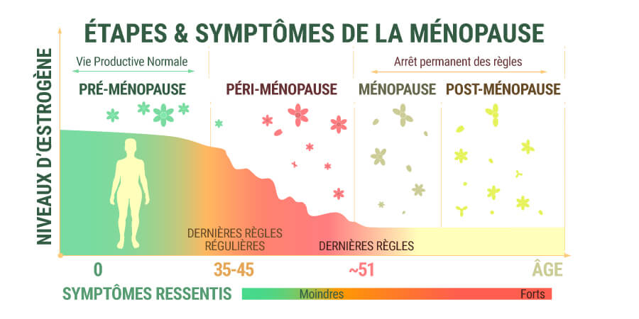 Étapes Et Symptômes De La Ménopause