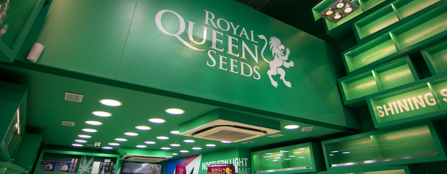 Royal Queen Seeds boutique Barcelona Pelai