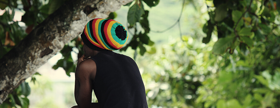 Rastafari Rastafari