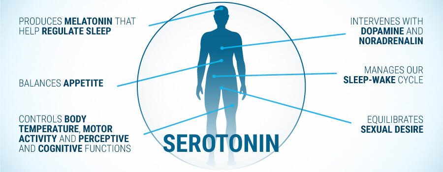 Seratonin Effects On Human Body