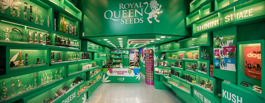 Magasin De Graines De Cannabis De Royal Queen Seeds À Barcelone Magasin De Graines De Cannabis De Royal Queen Seeds À Barcelone