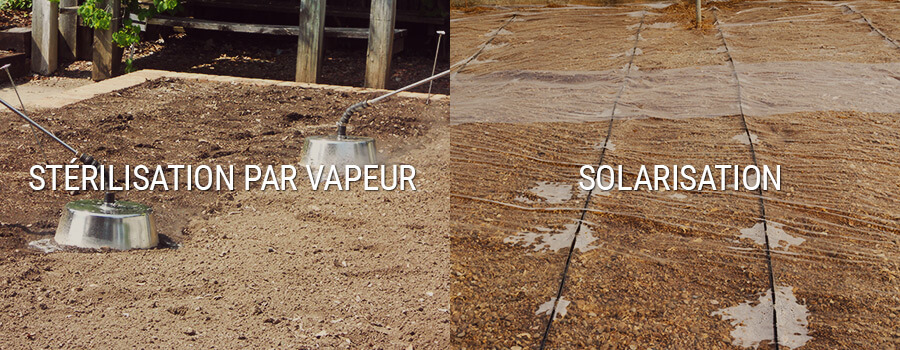 Stérilisation Par Vapeur Et Solarisation Stérilisation Par Vapeur Et Solarisation