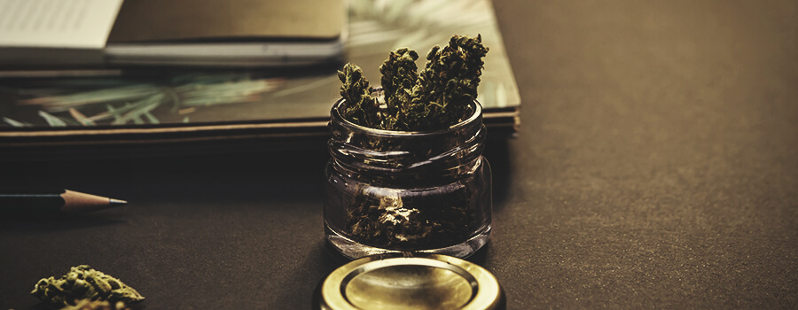 Le Cannabis Et Les Étudiants Le Cannabis Et Les Étudiants