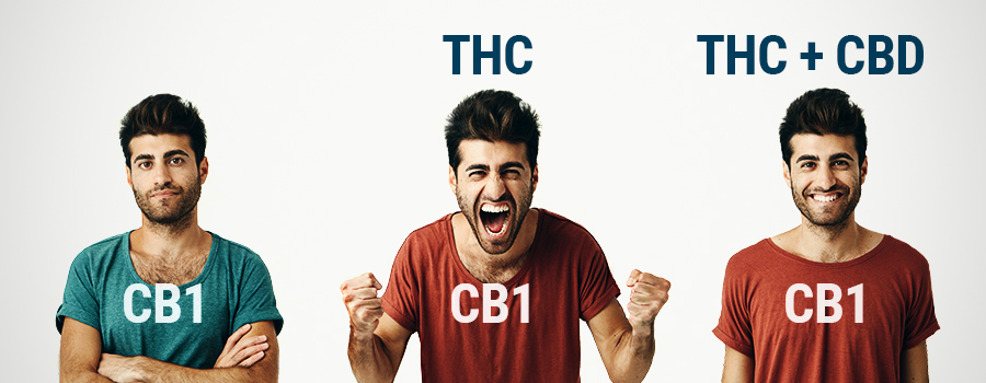 Oms Thc Et Cbd Oms Thc Et Cbd