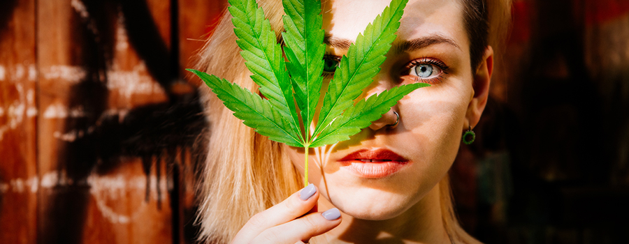 conversation franche parents cannabis conversation franche parents cannabis