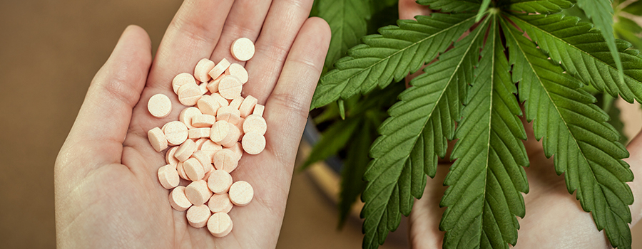 Médicaments contre la douleur Le cannabis à la place des opioïdes Médicaments contre la douleur Le cannabis à la place des opioïdes