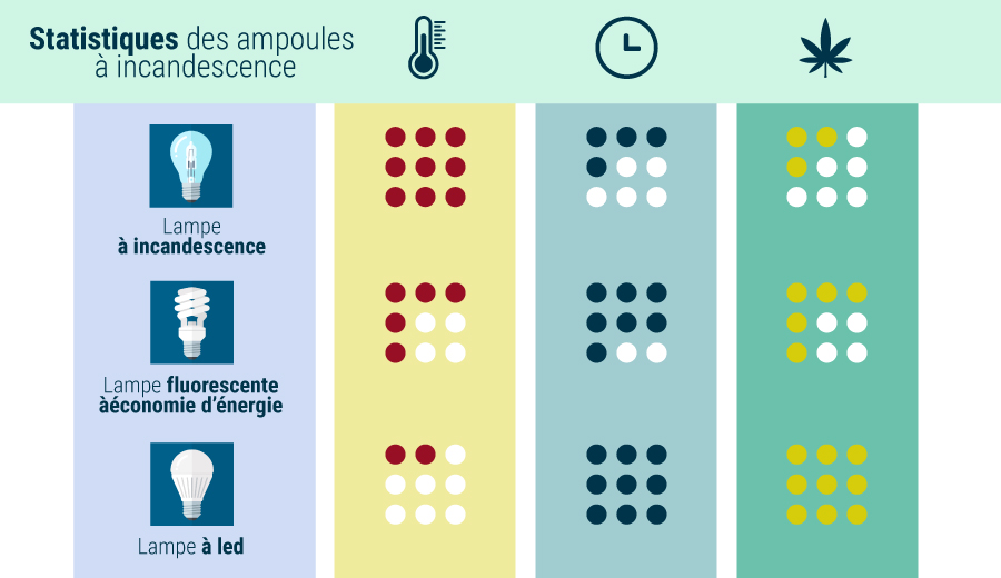 QUEL TYPE DE LAMPE DONNE LES MEILLEURES TÊTES EN LA PLUS GRANDE QUANTITÉ ? QUEL TYPE DE LAMPE DONNE LES MEILLEURES TÊTES EN LA PLUS GRANDE QUANTITÉ ?