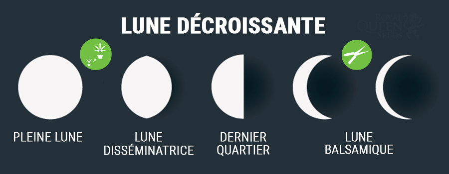 Lune Décroissante Lune Décroissante