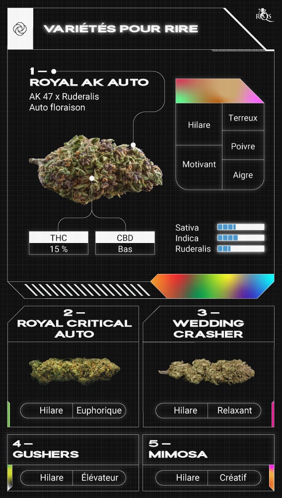 Top RQS Strains for Laughter