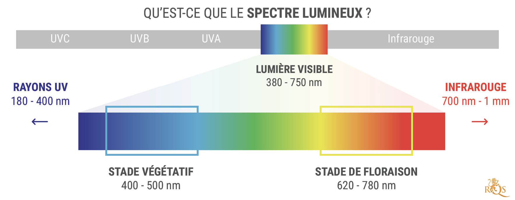 Qu’est-ce Que Le Spectre Lumineux ?