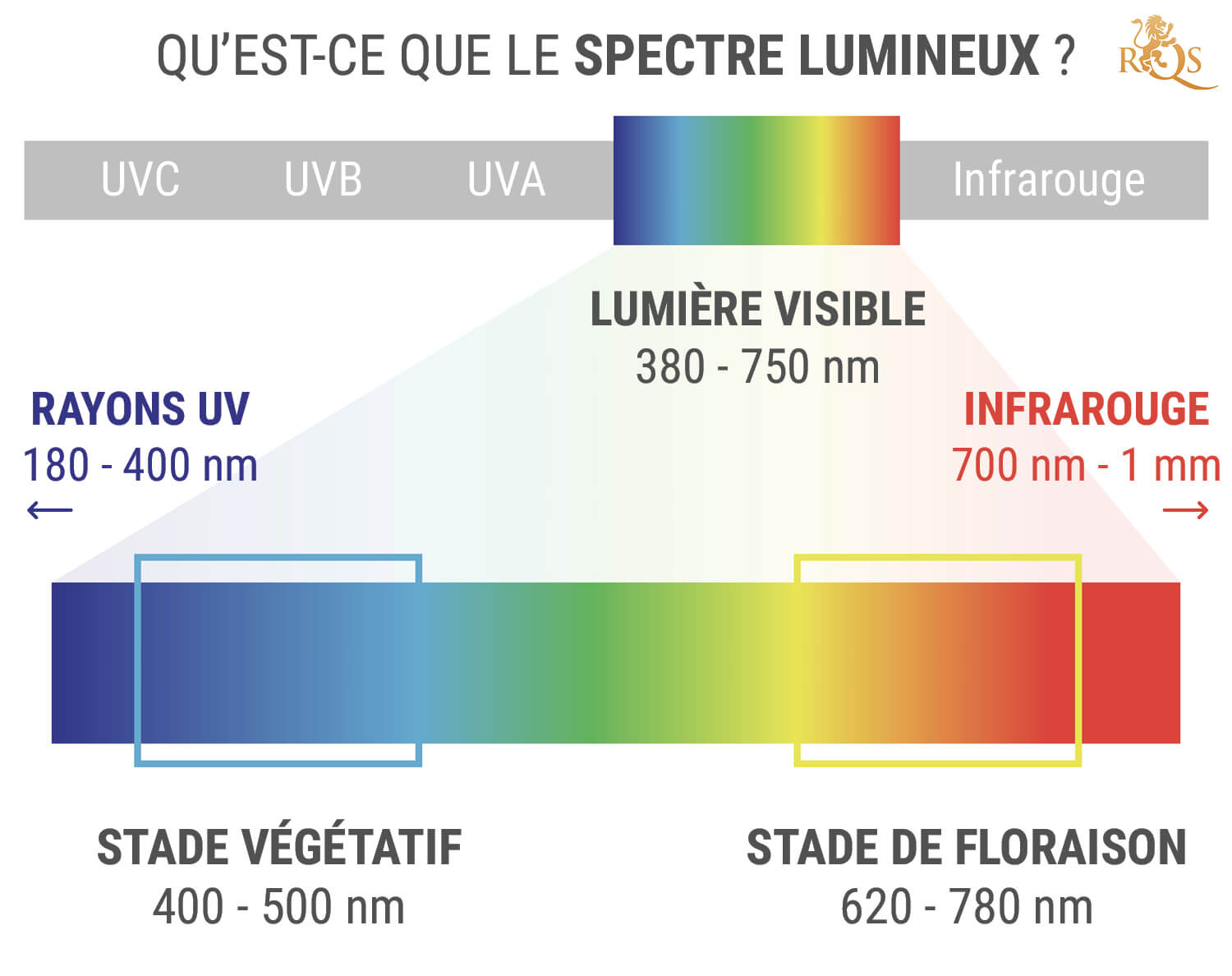 Lumière chaude, lumière froide… qu'est-ce que ça veut dire