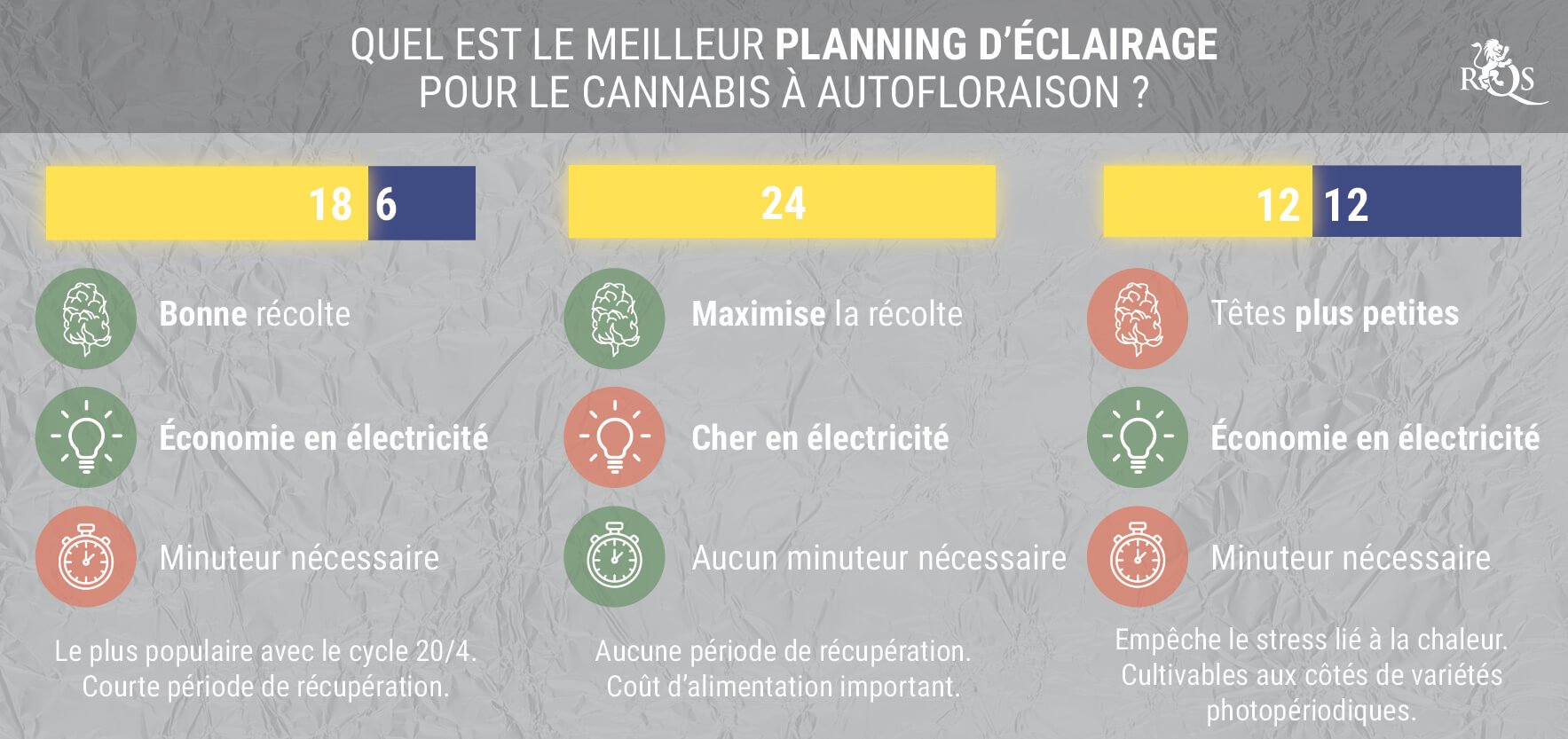 QUEL EST LE MEILLEUR CYCLE DE LUMIÈRE POUR UN CANNABIS À AUTOFLORAISON ?