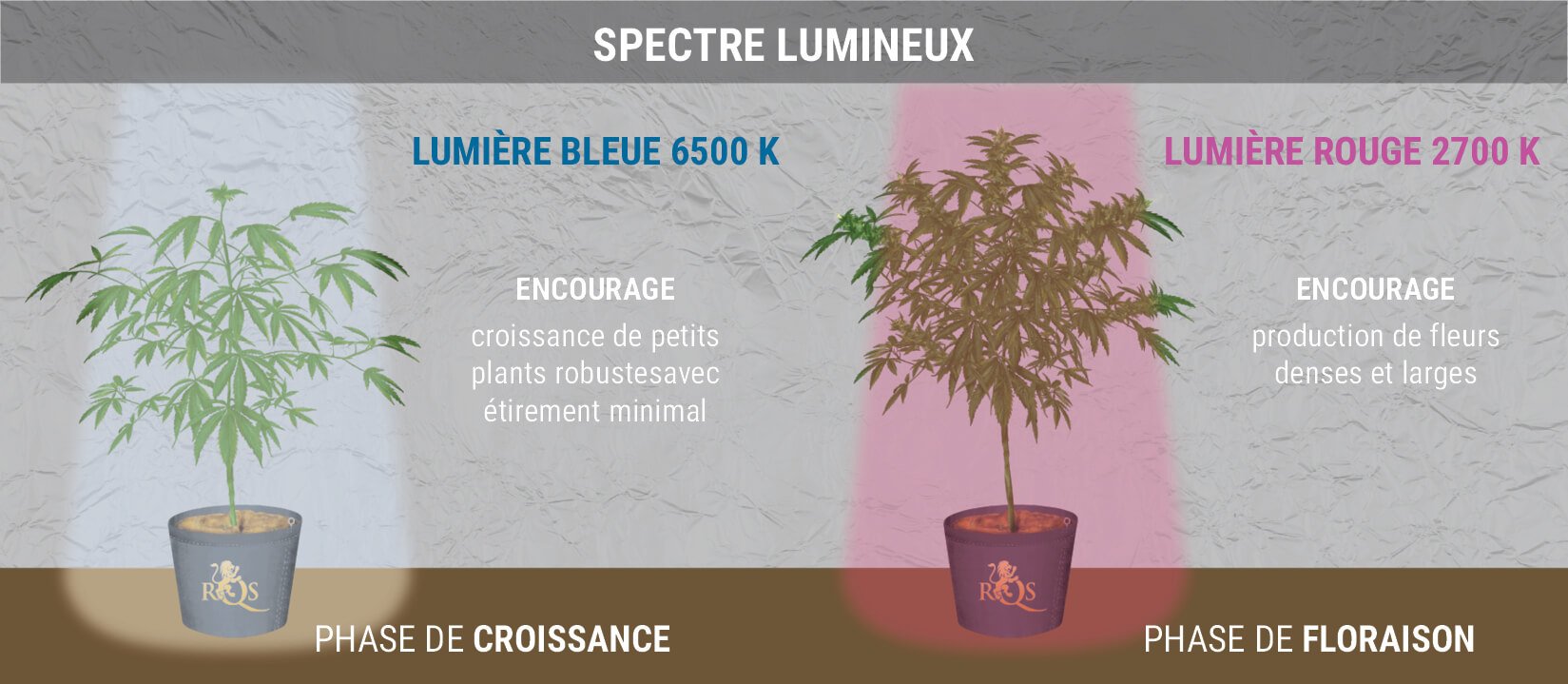 UNE NOTE SUR LES SPECTRES DE LUMIÈRE UNE NOTE SUR LES SPECTRES DE LUMIÈRE
