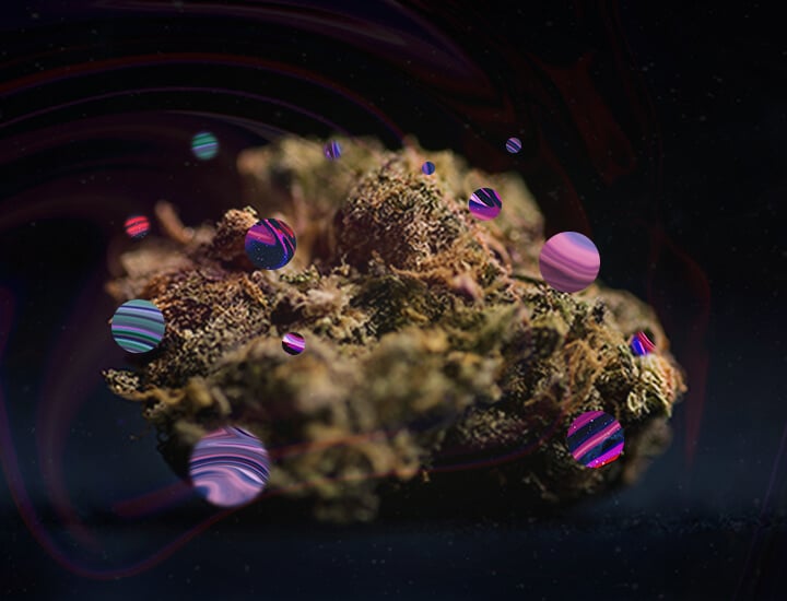 Qu’est-Ce Qu’un Bad Trip Au Cannabis ? Qu’est-Ce Qu’un Bad Trip Au Cannabis ?