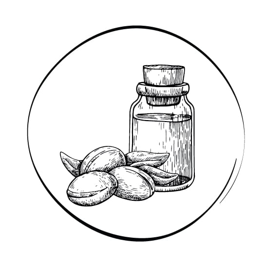 L’HUILE DE NEEM L’HUILE DE NEEM