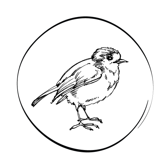 ACHETEZ DES PERCHOIRS À OISEAUX ACHETEZ DES PERCHOIRS À OISEAUX