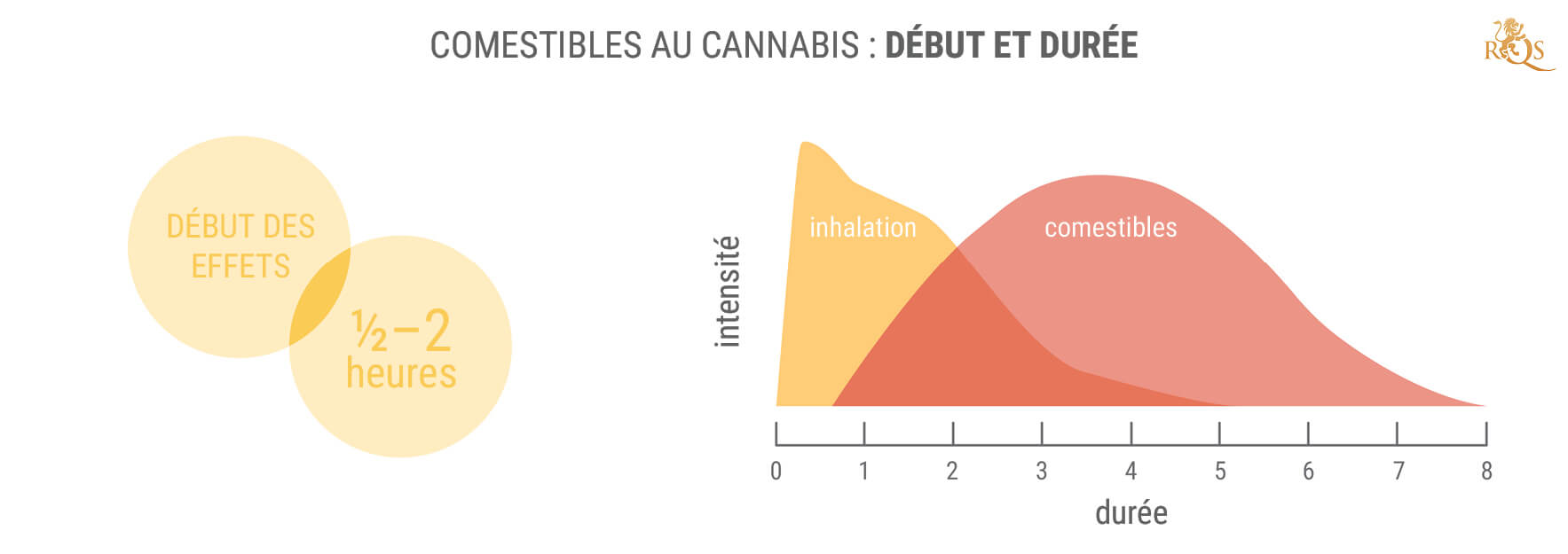 Les Avantages Du 11-Hydroxy-THC Et Des Produits Comestibles