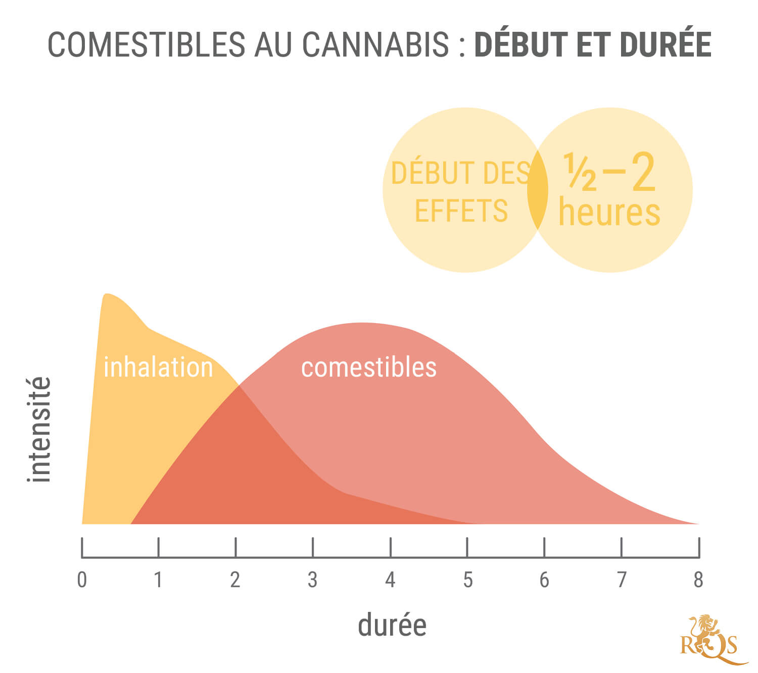 Les Avantages Du 11-Hydroxy-THC Et Des Produits Comestibles