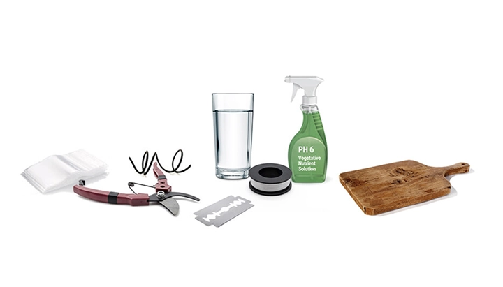 Matériel de greffage du cannabis avec sécateur, lame de greffage, film, eau, solution nutritive pH 6 et planche en bois.
