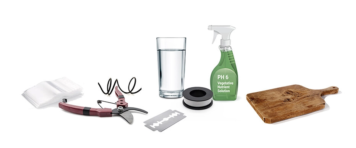 Matériel de greffage du cannabis avec sécateur, lame de greffage, film, eau, solution nutritive pH 6 et planche en bois.