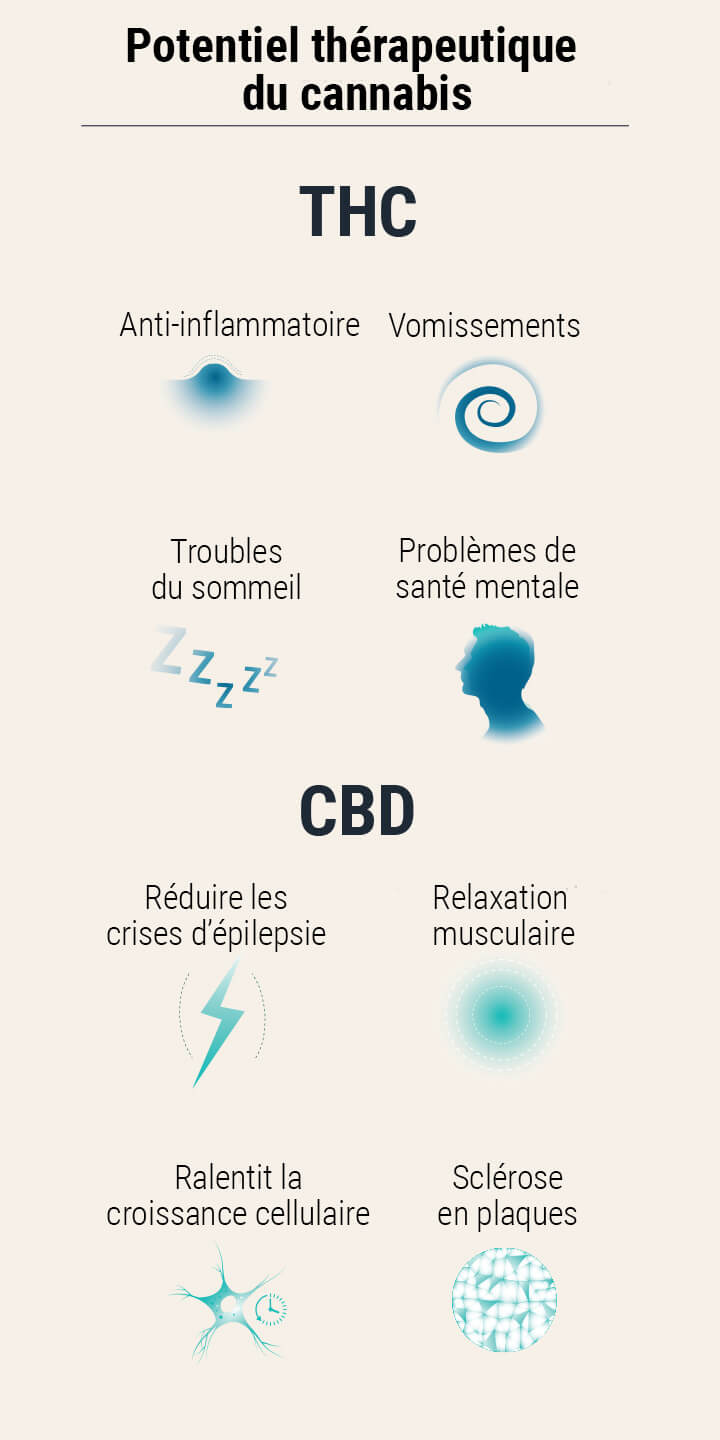 Graines de cannabis médical Graines de cannabis médical