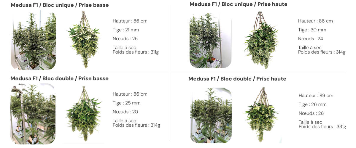 Résultats Medusa F1 : comparaison single block vs dual block Vue d’ensemble des résultats de Medusa F1 comparant les systèmes single block et dual block sous différents niveaux d’irrigation