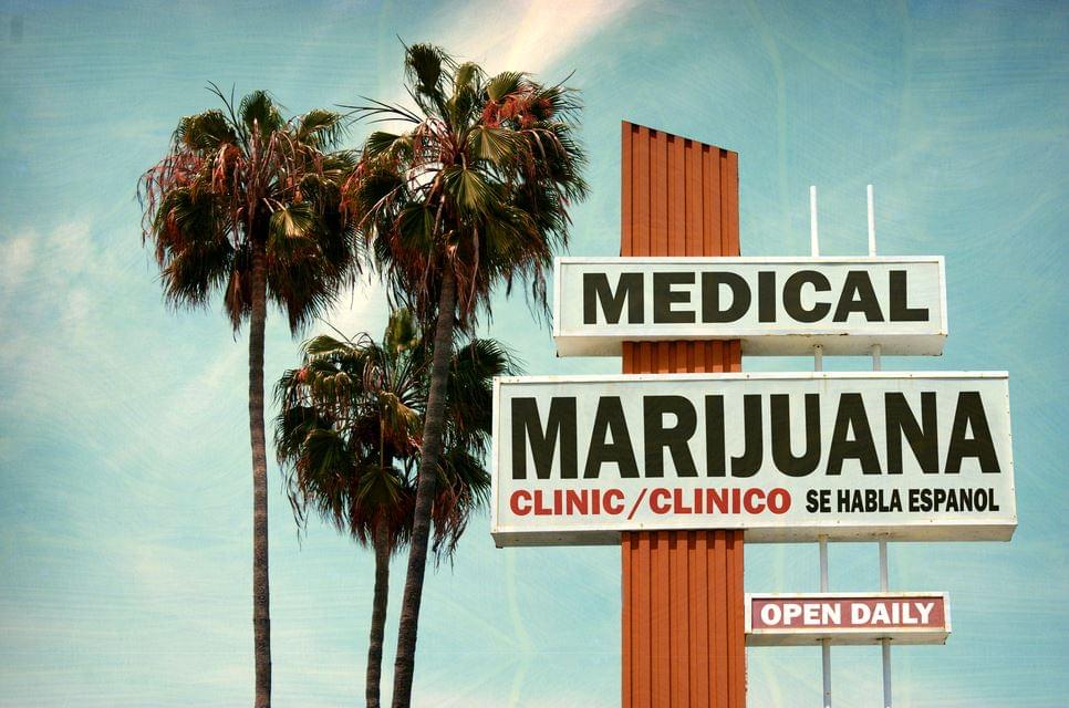 Graines de marijuana médicale