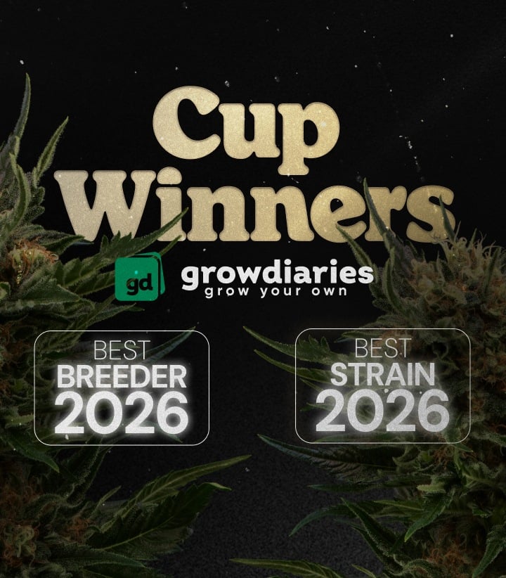 Bannière des récompenses cannabis Cup Winners 2026 mettant en avant les meilleurs variétés et meilleurs breeders avec des têtes de cannabis et le logo GrowDiaries