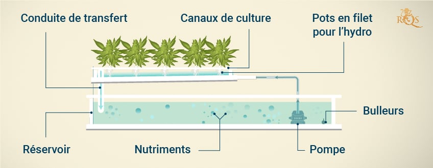 Nutrient Film Technique (NFT) Hydroponic System