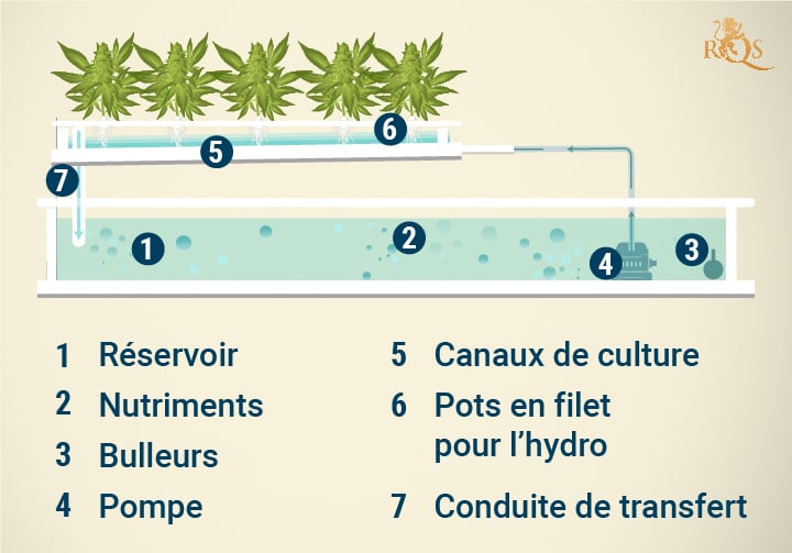 Nutrient Film Technique (NFT) Hydroponic System