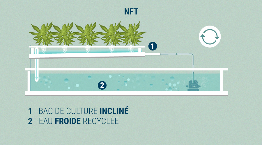 Nutrient Film Technique Nutrient Film Technique
