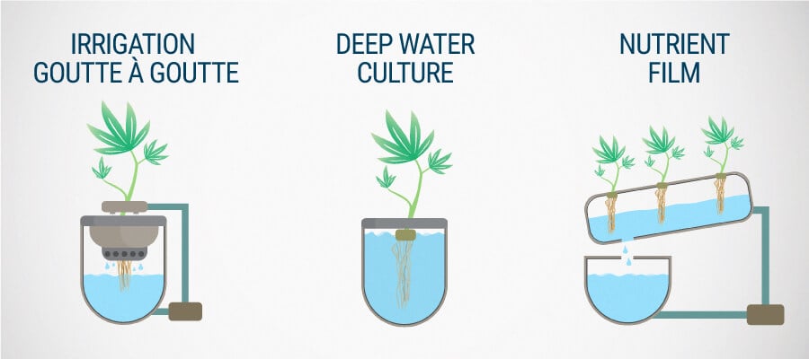 Laine De Roche Pour La Culture Hydroponique Du Cannabis - RQS Blog