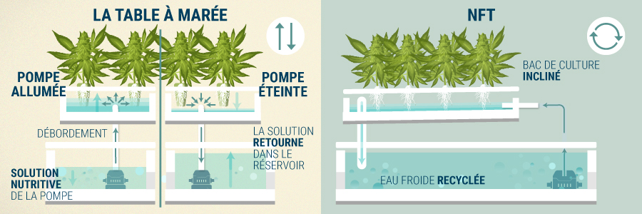 La Table À Marée (Ebb & Flow) vs Nutrient Film Tecnique La Table À Marée (Ebb & Flow) vs Nutrient Film Tecnique