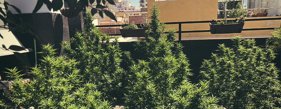 Les bases du balcon Les bases du balcon