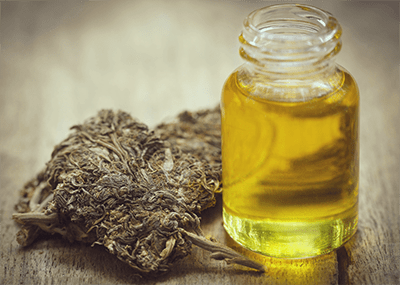 cannabis huile olive pesto végan sans gluten recette