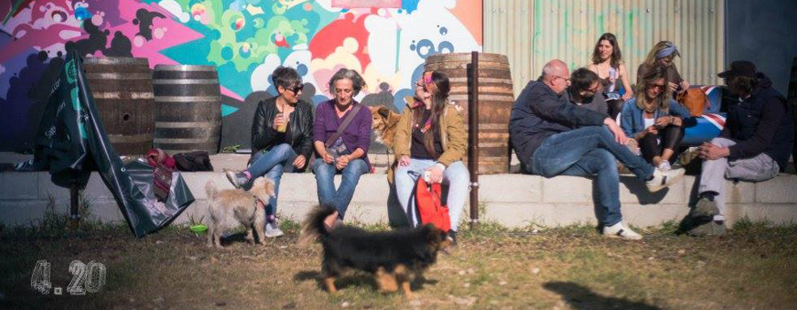 Hemp Fest 2017 Milan en plein air