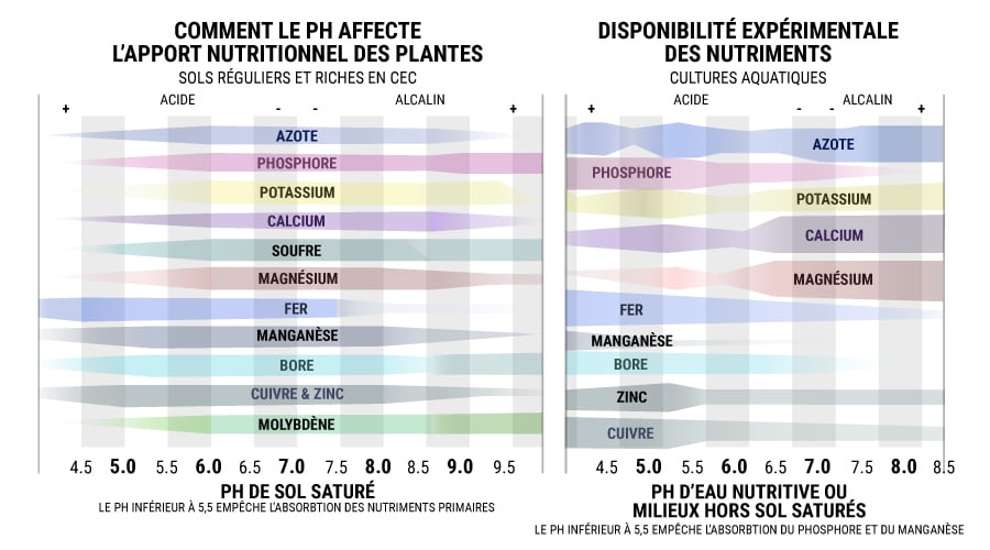 Comment Le Ph Affecte L'Apport Nutritionnel Des Plantes