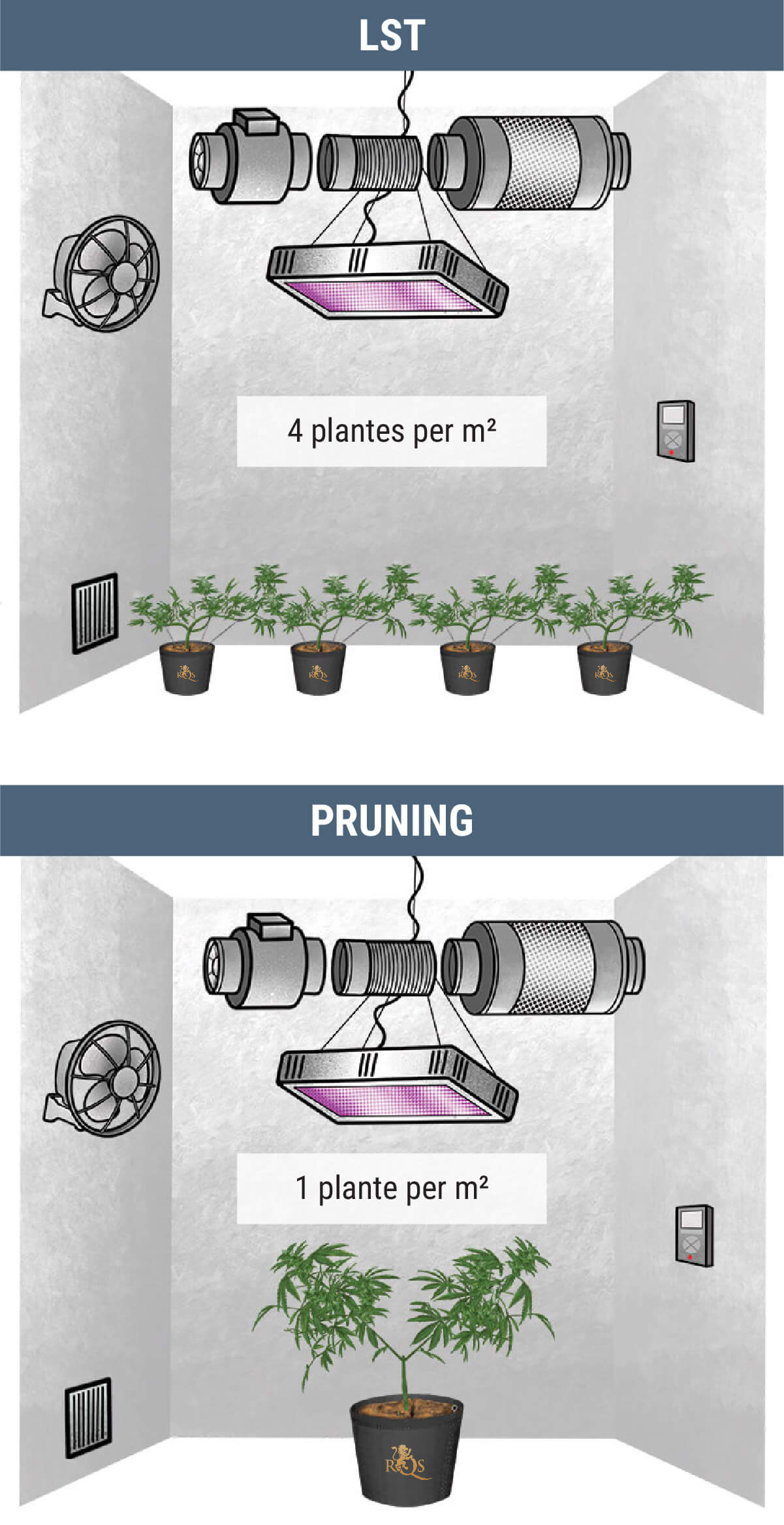 Combien de plants de cannabis peut-on cultiver au mètre carré