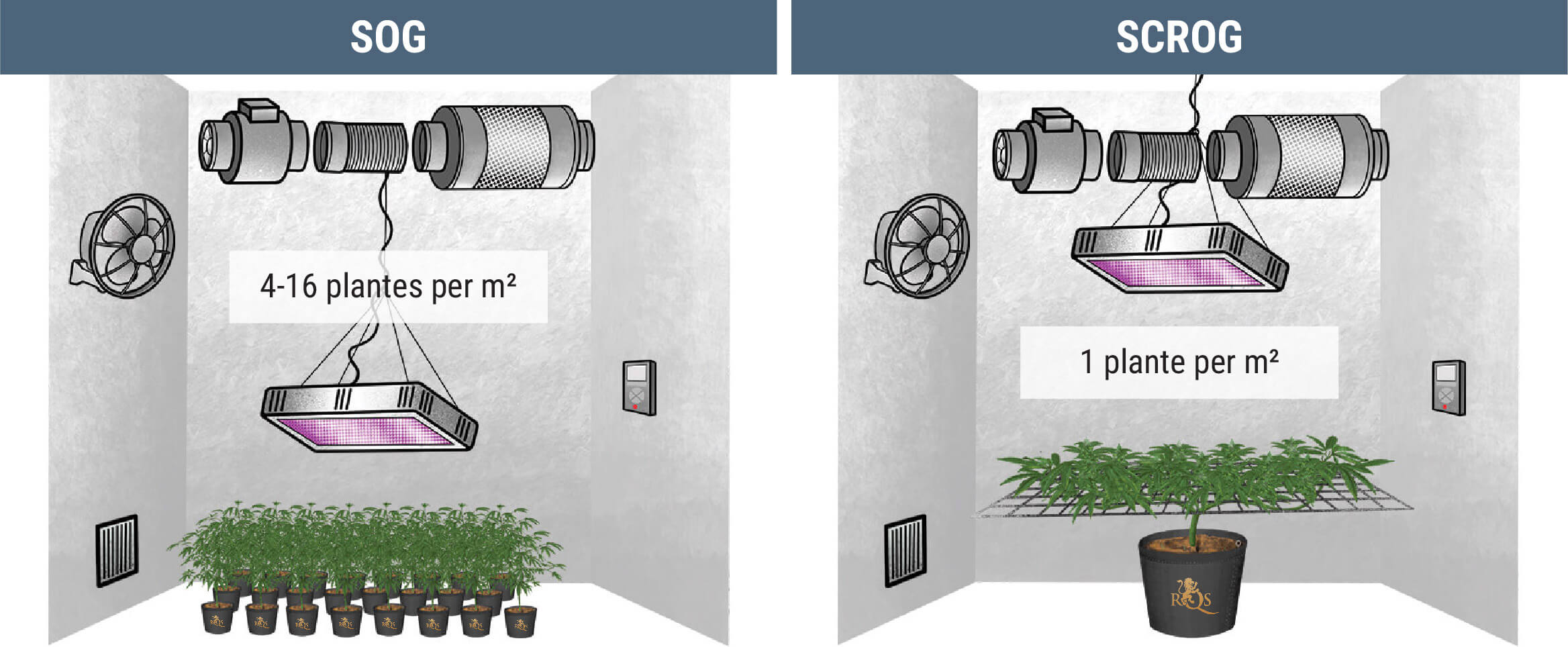 Combien de plants de cannabis peut-on cultiver au mètre carré ? Combien de plants de cannabis peut-on cultiver au mètre carré ?