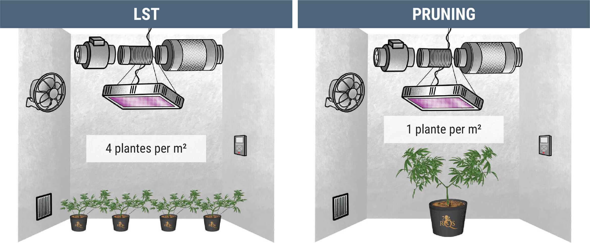 Combien de plants de cannabis peut-on cultiver au mètre carré ? Combien de plants de cannabis peut-on cultiver au mètre carré ?